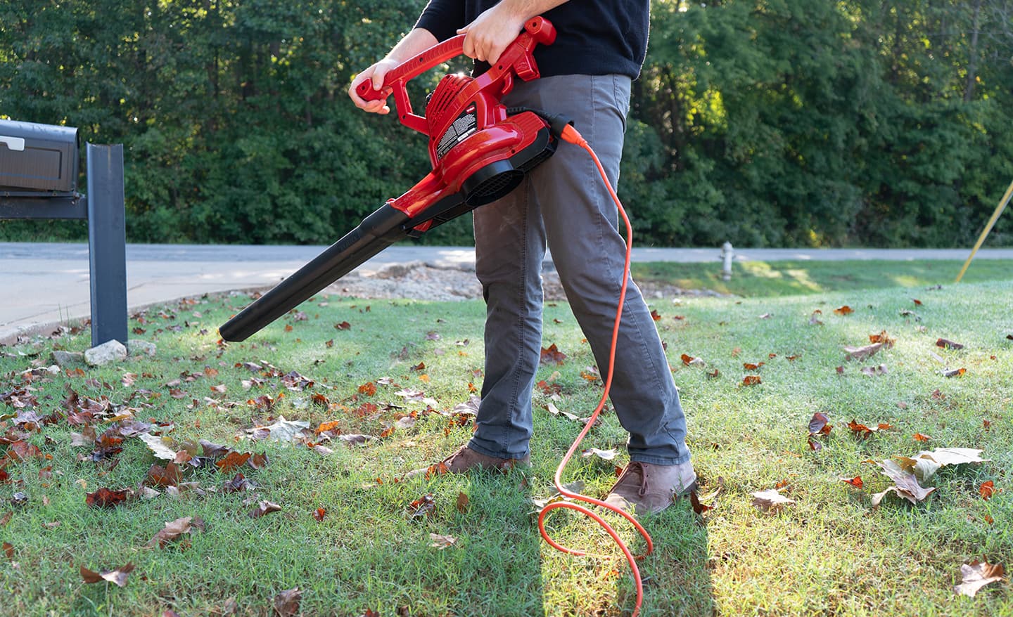 Extension cord store for chainsaw